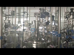 CHEMISCHE GLASREACTOR